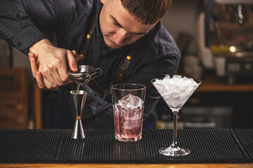 Professional barman at bar