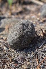 a stone on the ground during the day