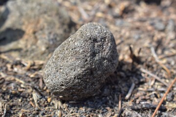 a stone on the ground during the day