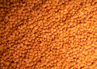 dry red lentil closeup top view. raw uncooked lentil macro photo