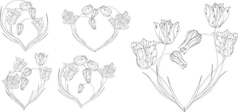 set of flower arrangements heart. The floral heart. Spring flowers. Tulips.