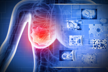 Breast cancer. Female breast anatomy. 3d illustration