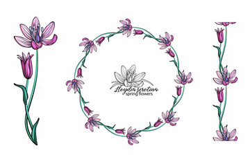 set of pink flowers. Wreath. Bouquet. Spring flowers spring