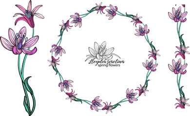 set of pink flowers. Wreath. Bouquet. Spring flowers spring