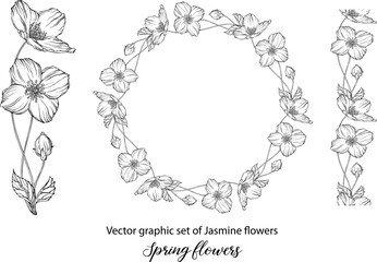 A set of graphic flower compositions with Jasmine flowers. Jasmine. wedding, scrapbooking