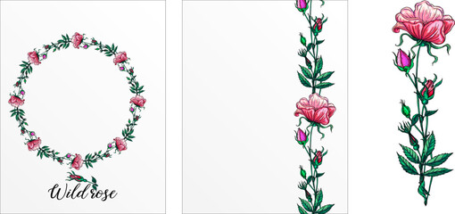 a set of postcards with rose flowers. Pink flowers. Rose.