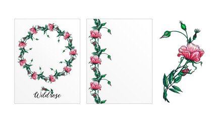 a set of postcards with rose flowers. Pink flowers. Rose.