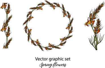 Vector flowers, buds. Botanical illustration. Spring flowers