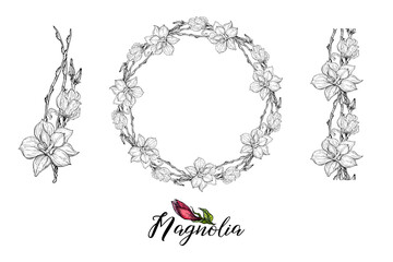 Set of vector flower arrangements with Magnolia flowers. Delicate romantic graphic magnolias.