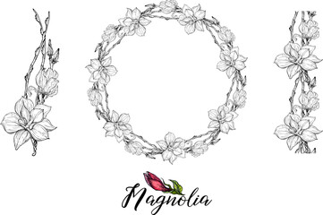 Set of vector flower arrangements with Magnolia flowers. Delicate romantic graphic magnolias.