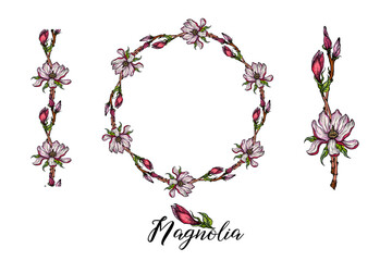 Set of vector flower arrangements with Magnolia flowers. Delicate romantic pink magnolias.