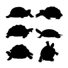 Set of silhouettes of turtles vector design