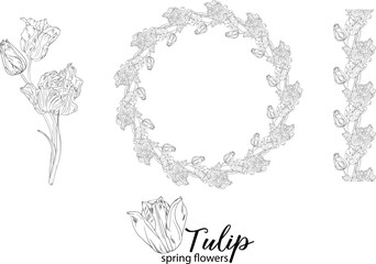 graphic floral arrangements with Tulip flowers. Spring flowers.