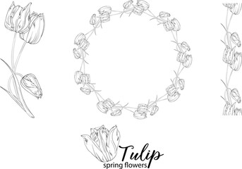 graphic floral arrangements with Tulip flowers. Spring flowers.