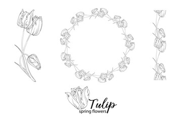 graphic floral arrangements with Tulip flowers. Spring flowers.