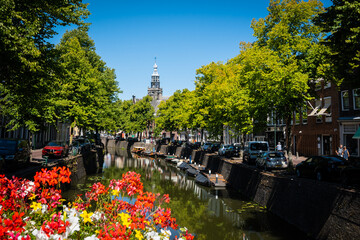 typical dutch, canal, flowers, tree, outdoor, city, tourism, architecture, building, built up, centre, clear, daytime, dutch, europe, european, gouda, government, green, historic, holland, house, neth
