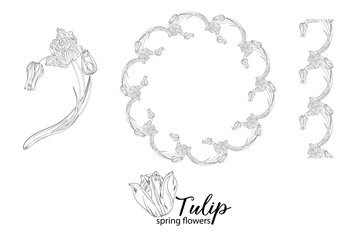 graphic floral arrangements with Tulip flowers. Spring flowers.