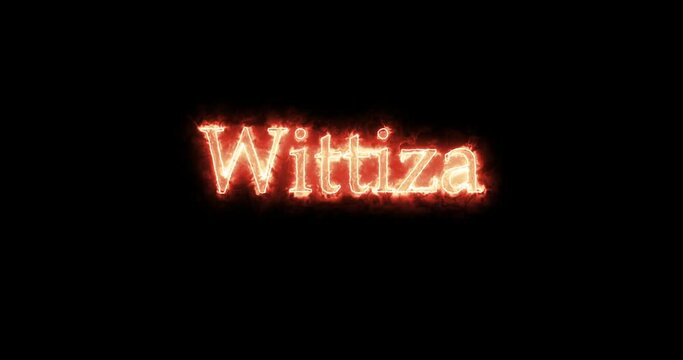 Wittiza, king of the Visigoths, written with fire. Loop
