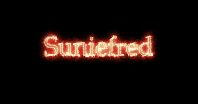 Suniefred, king of the Visigoths, written with fire. Loop