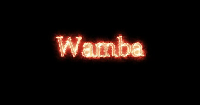 Wamba, king of the Visigoths, written with fire. Loop