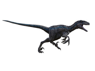 dinosaur velociraptor 3d render © david