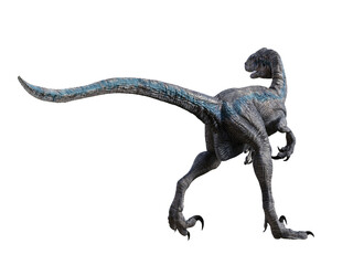 Naklejka premium dinosaur velociraptor 3d render