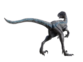Fotobehang Dinosaurussen dinosaur velociraptor 3d render  © david