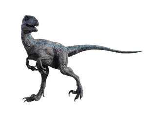 Deurstickers dinosaur velociraptor 3d render © david