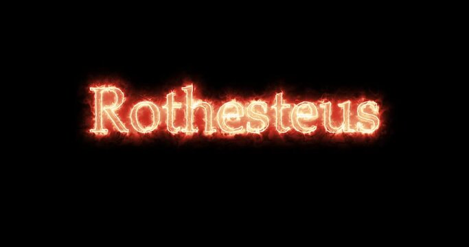 Rothesteus, Thervingian Gothic king, written with fire. Loop