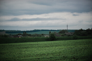 Summer landscape after the rain outside the city