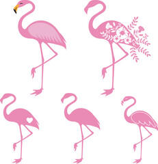 Cute Pink Flamingo on white background