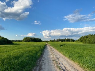 road in the field