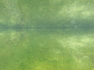 green background