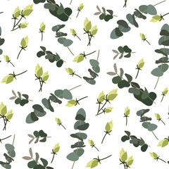 A pattern of white rose buds with green eucalyptus twigs on a white background. Delicate background for printing on paper and textiles. Print for packaging, postcards for Mother's Day, Valentine's Day