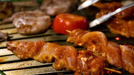 Barbecue vegetables and meat chicken, beef and cutlets front view