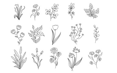 Trendy floral branch and minimalist flowers for logo or decorations. Hand drawn line wedding herb, elegant leaves for invitation save the date card. Botanical rustic trendy greenery