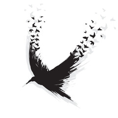 Black brush raven birds