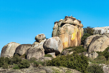 Storks colony in a protected area at Los Barruecos Natural Monument, Malpartida de Caceres,...