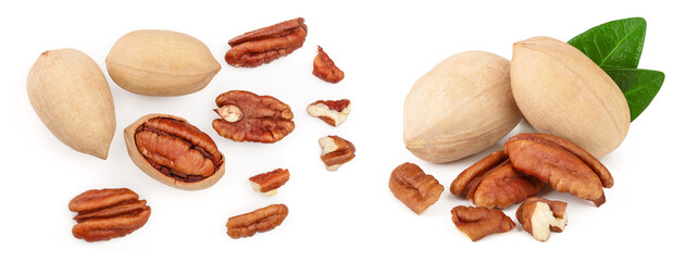 pecan nut isolated on white background. Top view. Flat lay
