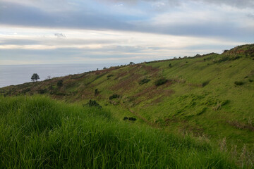 Fototapeta premium Green slopes and fields on the island of Madeira, Portugal.