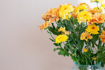 Yellow spring chrysanthemums bouquet flowers