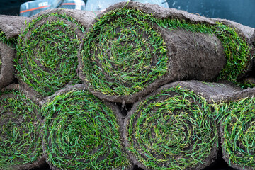 Gr&uuml;ne Rollen fertiger Rollrasen zum Verlegen