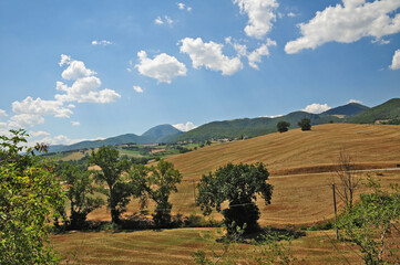 Le colline e le montagne marchigiane a Cupramontana, Ancona - Marche