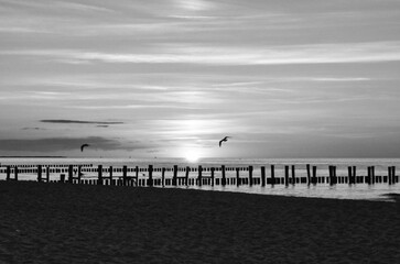 Fototapeta na wymiar Sunset on the Baltic Sea in black and white. Sea, groyne strong colors. Vacation