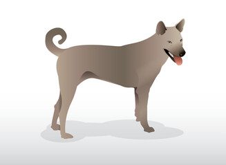 Flat design dog brown detailed animals illustration 