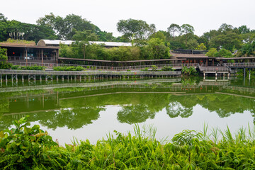 Night Safari Singapore is the world's first nocturnal zoo, houses over 2,500 animals, of which 38%...