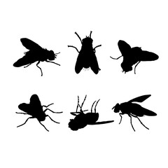 Set of silhouettes of insects fly vector design