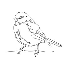 Vector illustration of bird in line art style