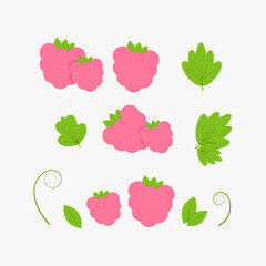 Set of pink raspberries in different combinations and green raspberry leaves