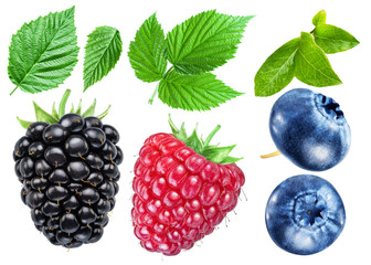 Set if raspberry, blueberry and blackberry with green leaves isolated on white background. Clipping path.